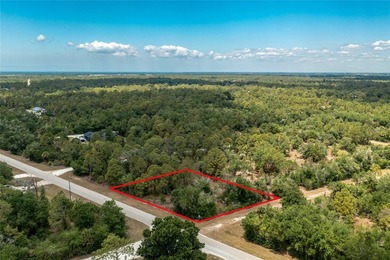 Build the Florida lifestyle you've been dreaming about on this - photo 6