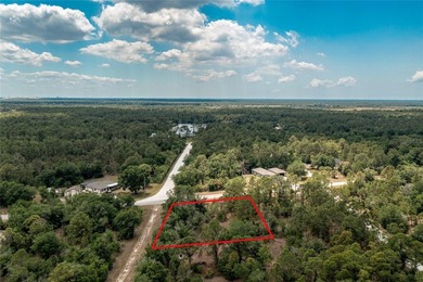Build the Florida lifestyle you've been dreaming about on this - photo 10
