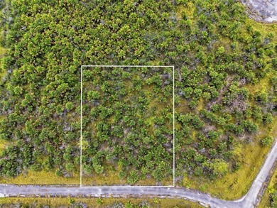 Excellent opportunity to own a residential lot in the growing - photo 1