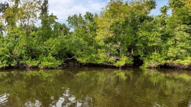 GULF ACCESS CANAL LOT!! If you've been looking for more land - photo 4