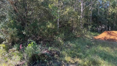 This conveniently located residential lot in the Gulf Park - photo 4