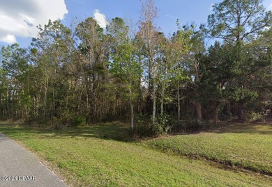 St. Johns River Acreage For Sale in Palatka Florida