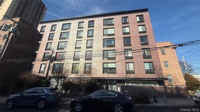Beautifully maintained large 1 bedroom, 1 bath gourmet kitchen - photo 1