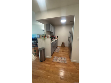 Beautifully maintained large 1 bedroom, 1 bath gourmet kitchen - photo 9