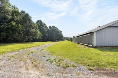 Central Georgia Poultry Farm for Sale | Active 6-House Broiler - photo 3