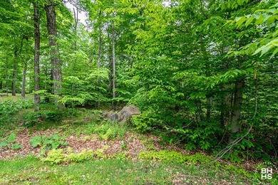 Design your home on this lovely vacant lot located on the - photo 4