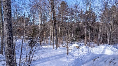 Design your home on this lovely vacant lot located on the - photo 10