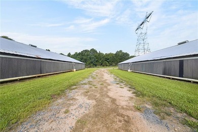 Central Georgia Poultry Farm for Sale | Active 6-House Broiler - photo 10