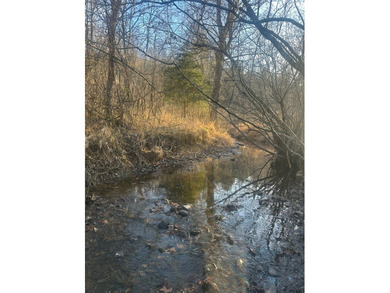 9* Acres - GPS coordinates for the front of the property are - photo 5