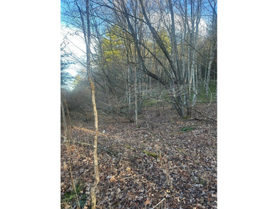 9* Acres - GPS coordinates for the front of the property are - photo 6