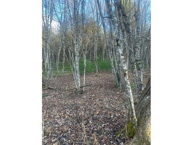 9* Acres - GPS coordinates for the front of the property are - photo 7