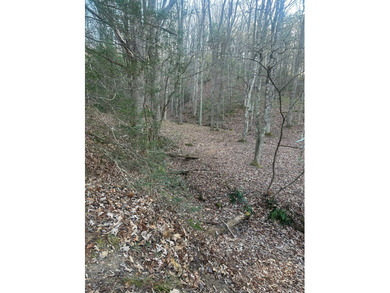 9* Acres - GPS coordinates for the front of the property are - photo 8