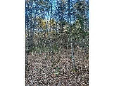 9* Acres - GPS coordinates for the front of the property are - photo 9