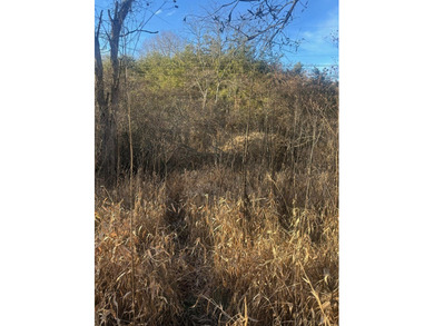 9* Acres - GPS coordinates for the front of the property are - photo 10