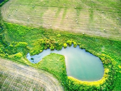 Discover the endless possibilities with this expansive 133-acre - photo 6