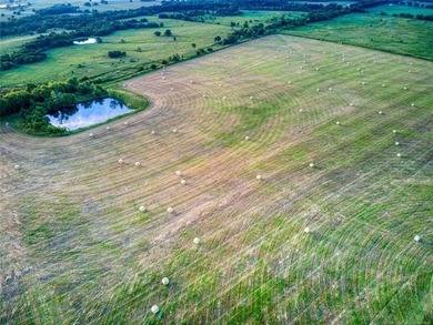 Discover the endless possibilities with this expansive 133-acre - photo 7