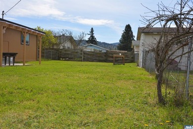 Cute and full of character, this cozy 3-bedroom, 1-bath in town - photo 24