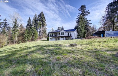Fully remodeled daylight basement ranch with a shop/carport and - photo 3
