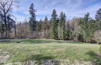 Fully remodeled daylight basement ranch with a shop/carport and - photo 4