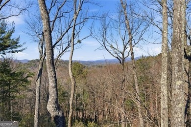 Enjoy refined mountain living with expansive, uninterrupted - photo 42