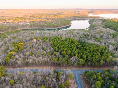 This 3.03 acre lot is located in the brand new Vida Del Lago - photo 3