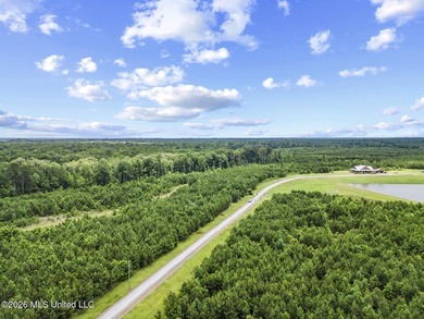 Welcome to a truly one-of-a-kind property in Scott County that - photo 47