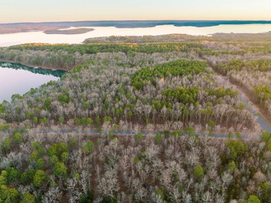 This 3.03 acre lot is located in the brand new Vida Del Lago - photo 8