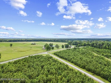 Welcome to a truly one-of-a-kind property in Scott County that - photo 48