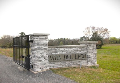 This 3.03 acre lot is located in the brand new Vida Del Lago - photo 10