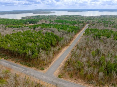 Greers Ferry Lake Acreage For Sale in Greers Ferry Arkansas