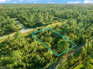 Lehigh Acres Area Lot For Sale in Lehigh Acres Florida