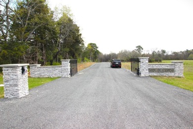 This 3.04 acre lot is located in the brand new Vida Del Lago - photo 6