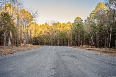 This 3.04 acre lot is located in the brand new Vida Del Lago - photo 7