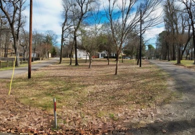 2/2/1 Home in Yantis with views of Lake Fork - photo 27