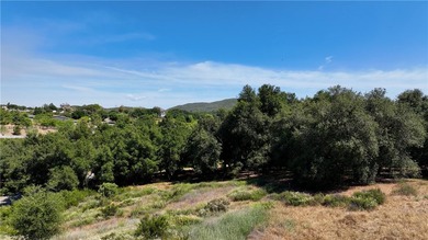 34561 S Main Divide - photo 7