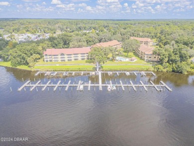 Lake Condo For Sale in Welaka, Florida