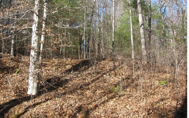 **Excellent building lot in Pinecrest subdivision **Homesite has