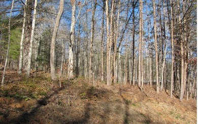 **Excellent building lot in Pinecrest subdivision **Homesite has