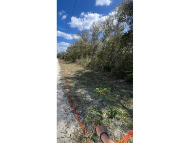 Withlacoochee River Lot For Sale in Webster Florida