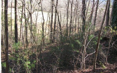 **Wooded building lot with excellent view potential in Pinecrest