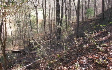 **Wooded building lot with excellent view potential in Pinecrest