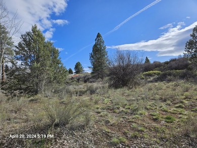 Beautiful piece of land in Oregon Shores! The combination of - photo 3