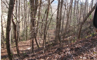 **Wooded building lot with excellent view potential in Pinecrest