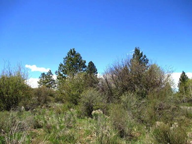 Beautiful piece of land in Oregon Shores! The combination of - photo 4