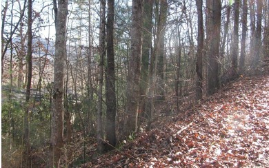 **Wooded building lot with excellent view potential in Pinecrest