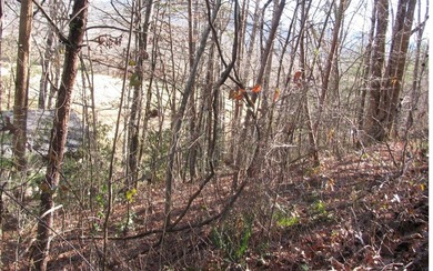 **Wooded building lot with excellent view potential in Pinecrest