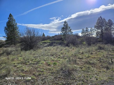 Beautiful piece of land in Oregon Shores! The combination of - photo 6