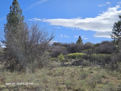 Beautiful piece of land in Oregon Shores! The combination of - photo 7