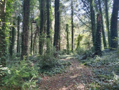 Wow. An acre + Less than 300 yards to the ocean and on a side - photo 11