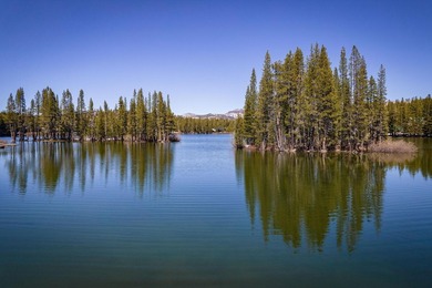 Build Your Serene Lakes Dream-Flat Lot, Walk to Lakes, Minutes - photo 14